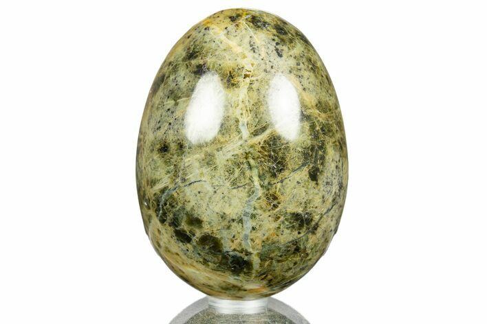 Polished Clear Creek Plasma Agate Egg - California #309106